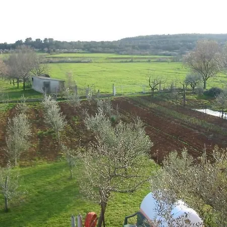 In Pula- Kroatien Mit Hohen Gaestebewertungen By Interhome Apartament *
